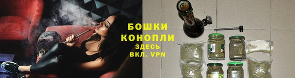 ALPHA PVP Остров