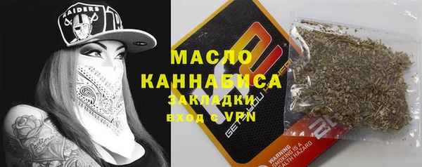2c-b Пестово