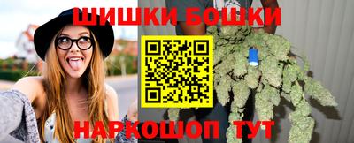 мдпв Гай