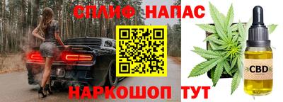 мдпв Гай